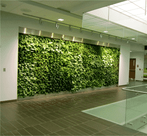 muros verdes artificiales y naturales