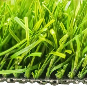 Pasto de Estándares Internacionales Stemgrass 50mm